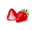 The red fresh strawberries isolated.vector.