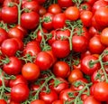 Red fresh natural tomatoes vegetables Royalty Free Stock Photo