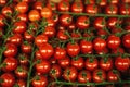 Red fresh tomatoes background. Natural local products on the farm market. Royalty Free Stock Photo