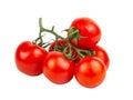 Red fresh tomatoes branch isolated on the white background Royalty Free Stock Photo