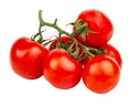 Red fresh tomatoes branch isolated on the white background Royalty Free Stock Photo