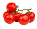 Red fresh tomatoes branch isolated on the white background Royalty Free Stock Photo