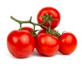 Red fresh tomatoes branch isolated on the white background Royalty Free Stock Photo