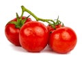 Red fresh tomatoes branch isolated on the white background Royalty Free Stock Photo
