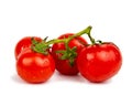 Red fresh tomatoes branch isolated on the white background Royalty Free Stock Photo