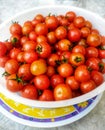 Red fresh tomatto in bowl Royalty Free Stock Photo