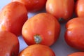 Red fresh and wet bunch of Tomato Vegetables close display Royalty Free Stock Photo