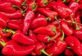 Red Fresno Chili Peppers on a vegetable market stand. Royalty Free Stock Photo