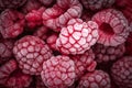 Red frozen raspberries background. Close up, berry background