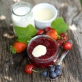 Red fruit jelly Royalty Free Stock Photo