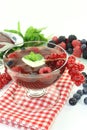 Red fruit jelly Royalty Free Stock Photo