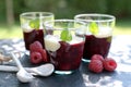 Red fruit jelly Royalty Free Stock Photo