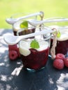 Red fruit jelly Royalty Free Stock Photo