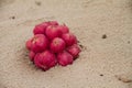 Red fruit lying on beach