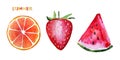 Red fruit set. Set of red watermelon slice, grapefruit slice, strawberry. Fresh Summer watercolor illustration. Fruit Royalty Free Stock Photo