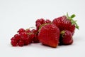 Red Fruit Still Life Royalty Free Stock Photo