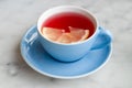 Red fruit tea with lemon slice Royalty Free Stock Photo