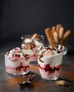 Red fruit trifle, tiramisu, parfait with blueberries and raspberries layered with whipped cream, chocolate syrup and lady fingers Royalty Free Stock Photo