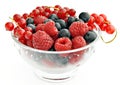 Red fruits Royalty Free Stock Photo