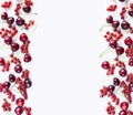 Red fruits and berrieson white background. Ripe red currants and cherries. Berries at border of image with copy space for text. Ba Royalty Free Stock Photo