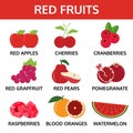 Red fruits collection, food vector illustration