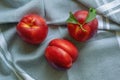 Red fruits. Fresh ripe nectarines on table. Flat lay Royalty Free Stock Photo