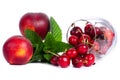 Red fruits set Royalty Free Stock Photo