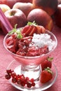 Red fruits sorbet