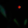 Red Full Moon Against A Black Sky