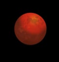 Red full moon vector Royalty Free Stock Photo