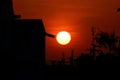 Red full sunset in city home and tree background