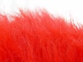 Red fuzz Royalty Free Stock Photo