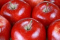 Red gala apples Royalty Free Stock Photo