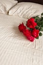 Red garden house roses lie in a bouquet on white bed linen on the bed in the room.