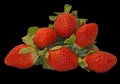 Red garden strawberries on a black background. Royalty Free Stock Photo