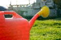 Red Garden watering can on green grass, in the sun Royalty Free Stock Photo