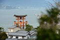 miyajima sakura Royalty Free Stock Photo