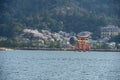 miyajima sakura Royalty Free Stock Photo