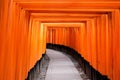 Red gate way, torii corridor in Fushimi Inari Taisha, Kyoto, Japan Royalty Free Stock Photo