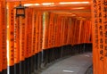 Red gates tunnel in Kyoto