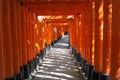 Red gates tunnel in Kyoto Royalty Free Stock Photo