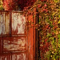 Red gateway surrounded with autumn foliage Royalty Free Stock Photo