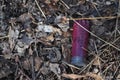 12 Gauge Shotgun Gun Shell on the Ground