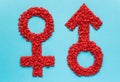 Red gender symbols of small hearts on a blue background. Male and female sign composed of hearts Royalty Free Stock Photo