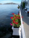 Red geranium in boxes overlooking sea background Royalty Free Stock Photo