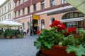 A red geranium decorating a restaurant terrace on an early summer afternoon.