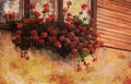 Red geranium flower in village house window, painting detail Royalty Free Stock Photo