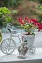 Red geranium flowers in pots on the windowsill, next to a statuette of an angel. Beautiful little geranium pelargonium flower. The