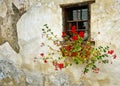 Red geraniums in planter on old ragged wall