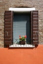 Red geraniums on window sill.